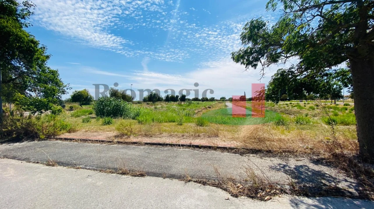Terreno para Venda em São João Baptista Foto 3