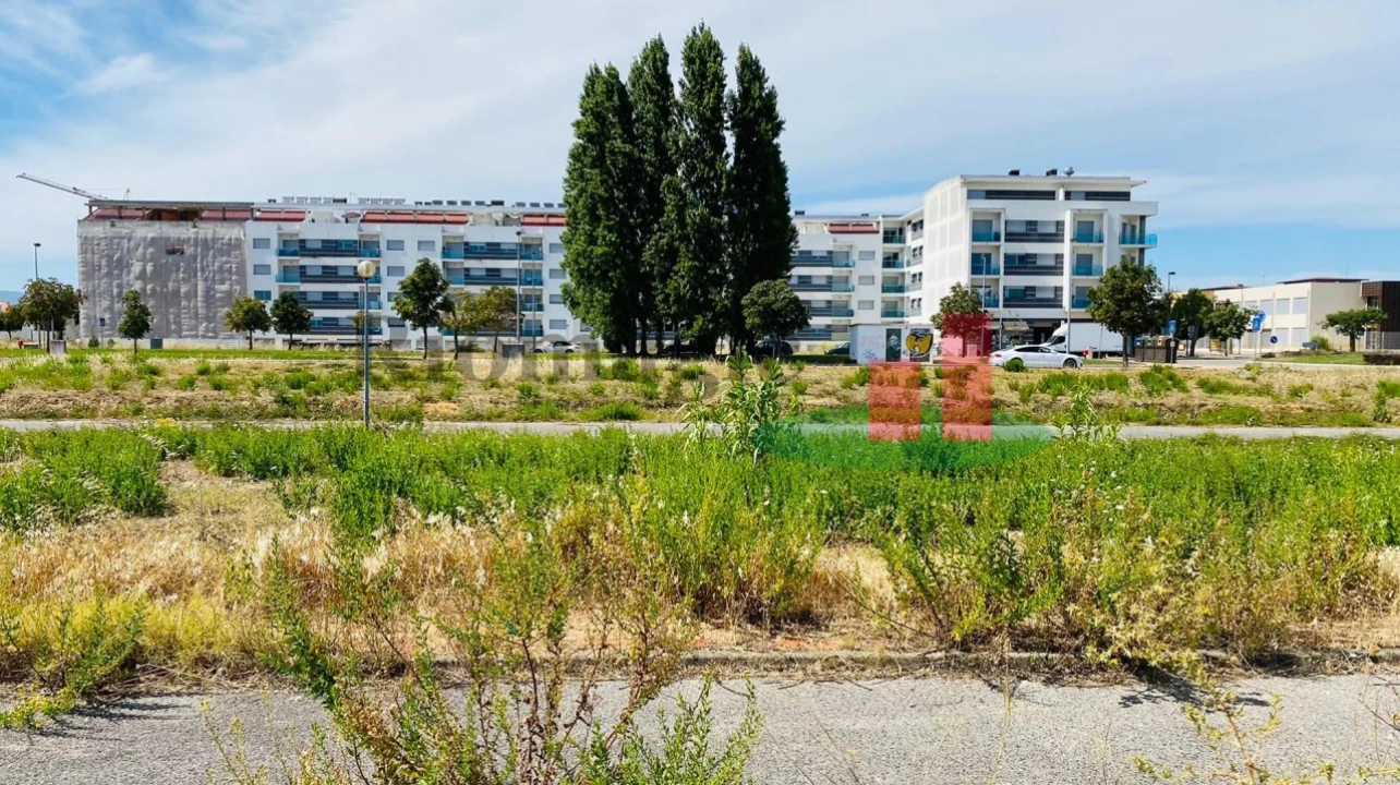 Terreno para Venda em São João Baptista Foto 2