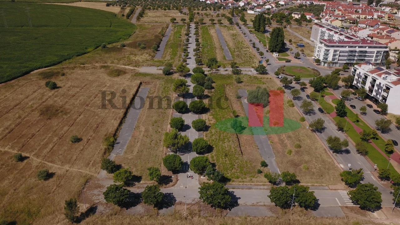 Terreno para Venda em São João Baptista Foto 3