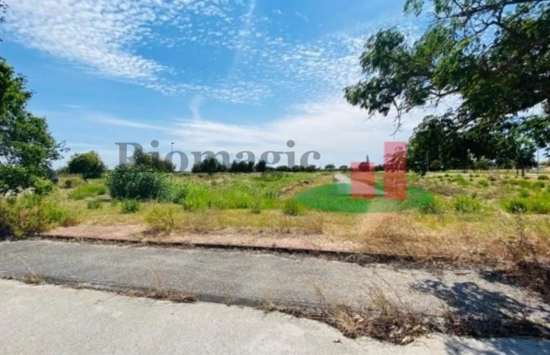 Terreno para Venda em São João Baptista Foto 5