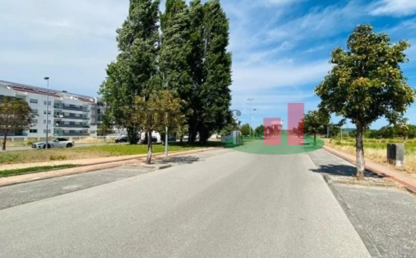 Terreno para Venda em São João Baptista Foto 8
