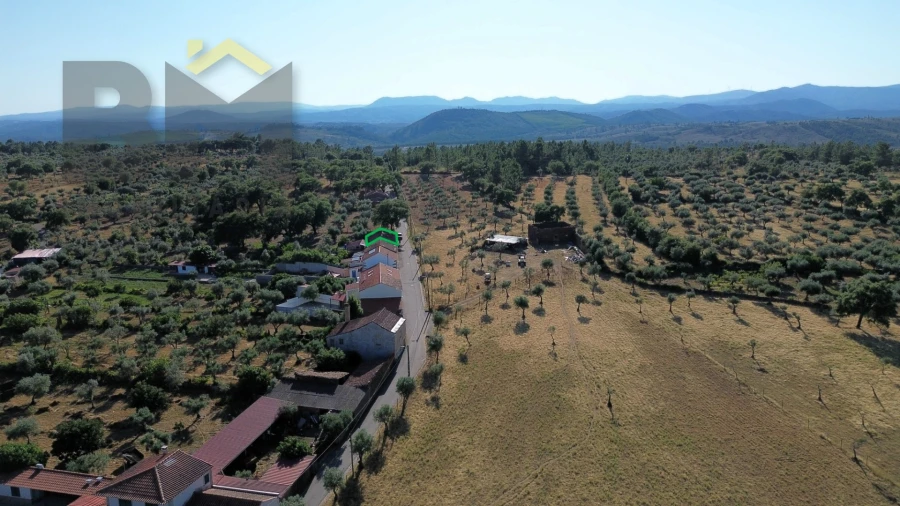 Armazém para Venda em Freixial e Juncal do Campo Foto 12
