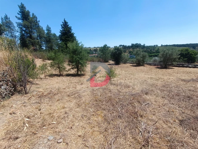 Terreno Agricola ou Rústico para Venda em Sarnadas de Rodão Foto 7