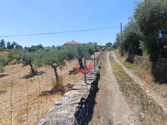Terreno Agricola ou Rústico para Venda em Sarnadas de Rodão Foto 14