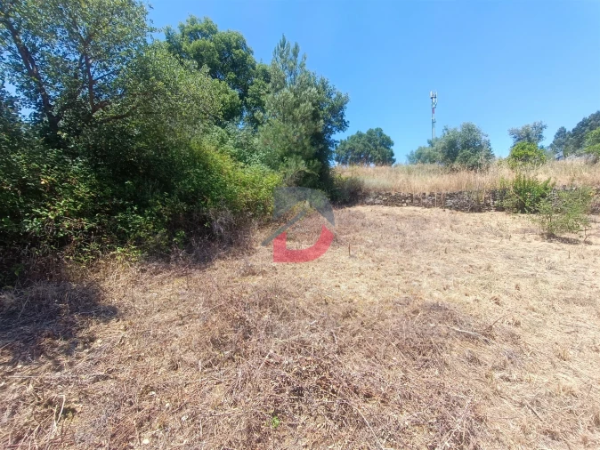Terreno Agricola ou Rústico para Venda em Sarnadas de Rodão Foto 6