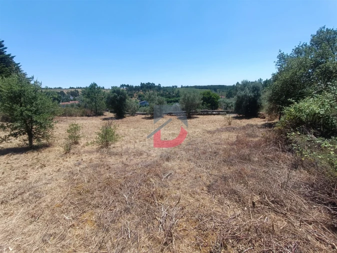 Terreno Agricola ou Rústico para Venda em Sarnadas de Rodão Foto 9