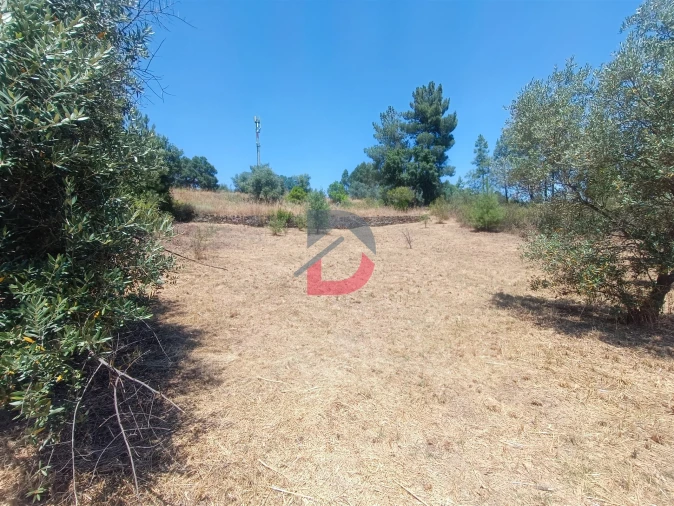 Terreno Agricola ou Rústico para Venda em Sarnadas de Rodão Foto 4