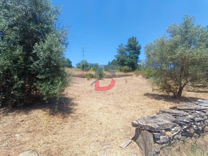 Terreno Agricola ou Rústico para Venda em Sarnadas de Rodão Foto 2