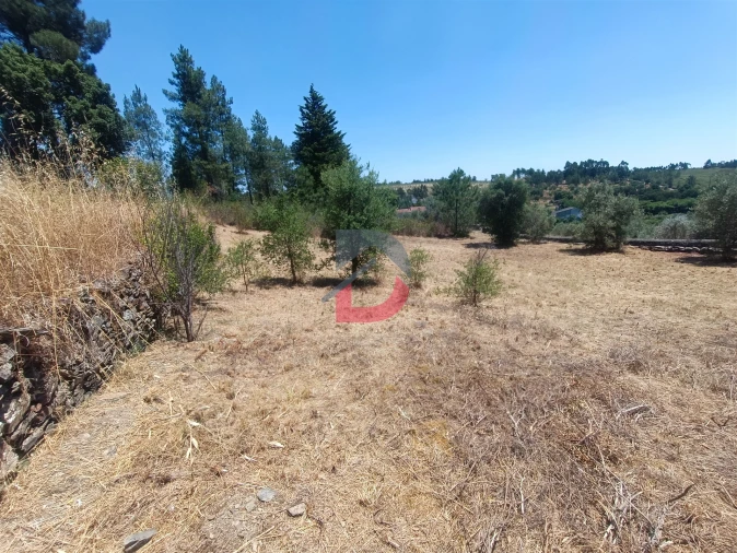 Terreno Agricola ou Rústico para Venda em Sarnadas de Rodão Foto 8