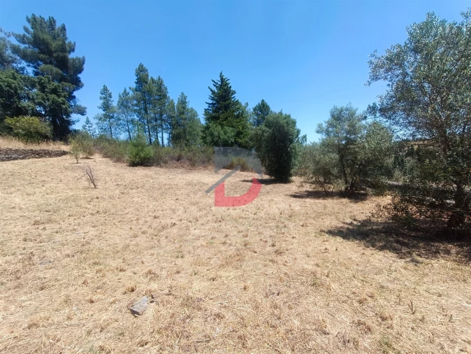 Terreno Agricola ou Rústico para Venda em Sarnadas de Rodão Foto 5