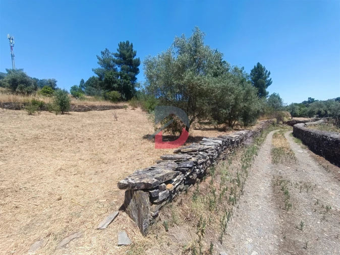 Terreno Agricola ou Rústico para Venda em Sarnadas de Rodão Foto 3
