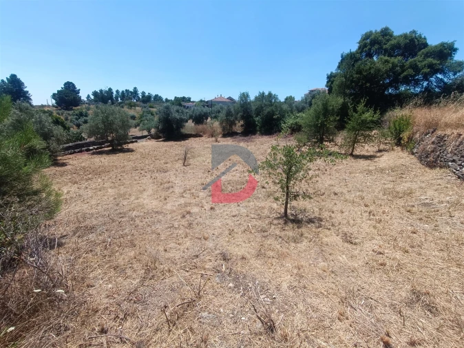Terreno Agricola ou Rústico para Venda em Sarnadas de Rodão Foto 10