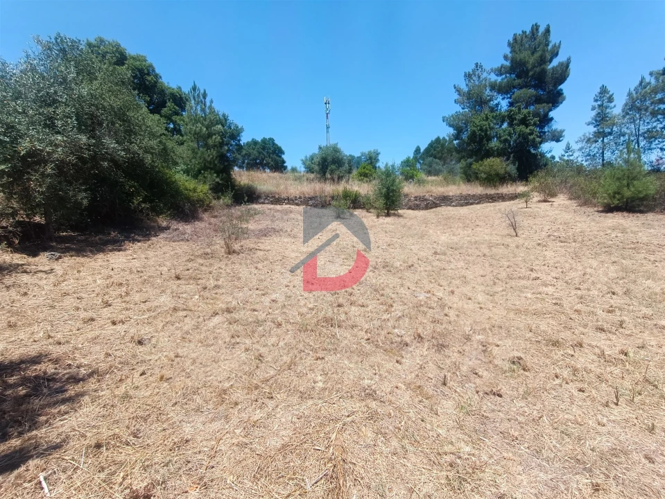 Terreno Agricola ou Rústico para Venda em Sarnadas de Rodão Foto 2
