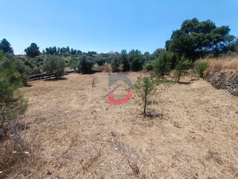 Terreno Agricola ou Rústico para Venda em Sarnadas de Rodão Foto 12