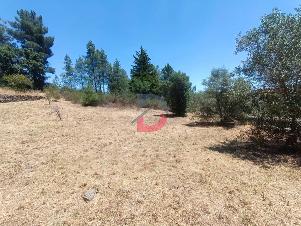 Terreno Agricola ou Rústico para Venda em Sarnadas de Rodão Foto 6