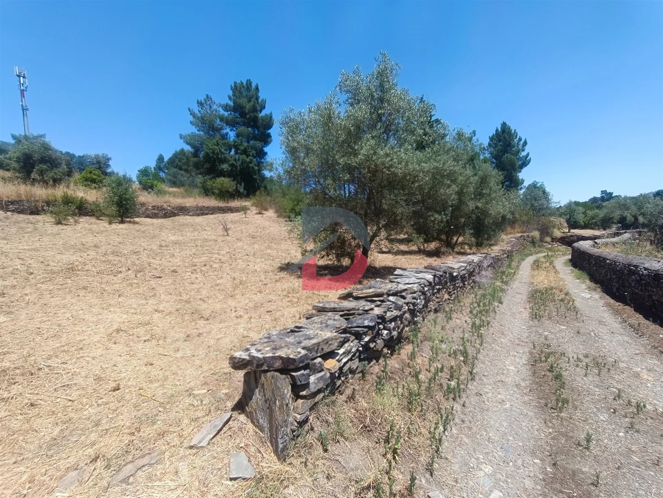 Terreno Agricola ou Rústico para Venda em Sarnadas de Rodão Foto 4