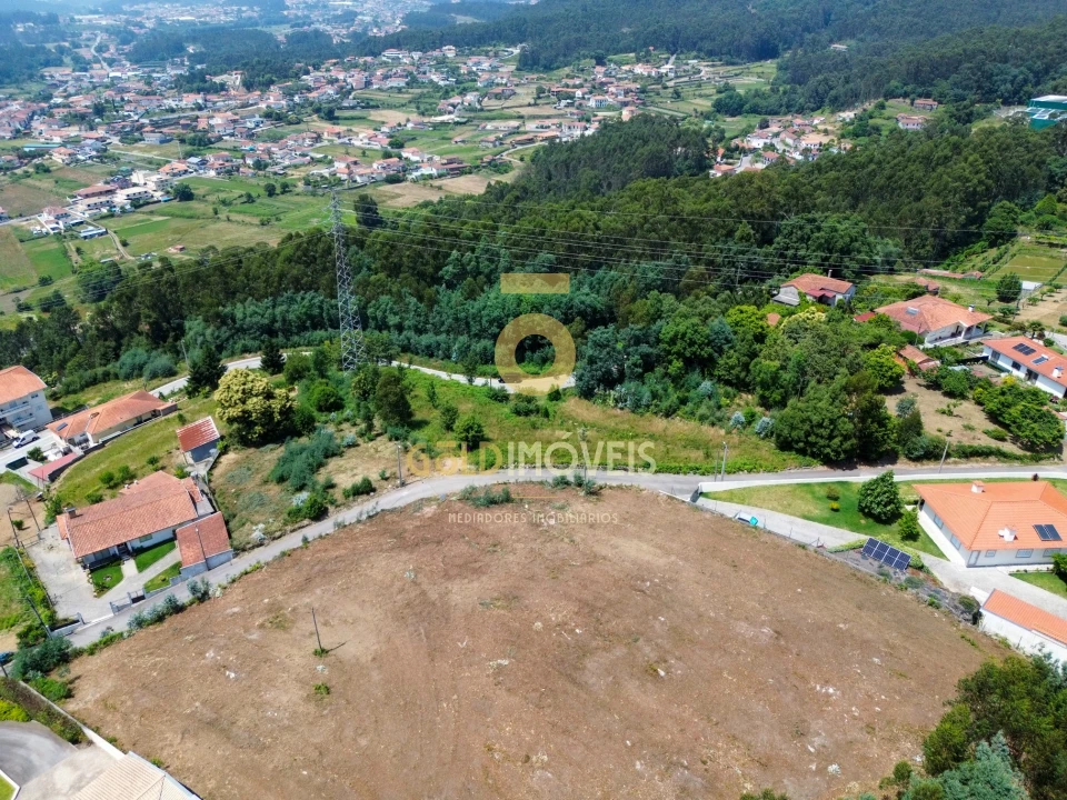 Terreno Agricola ou Rústico para Venda em Carregosa Foto 1