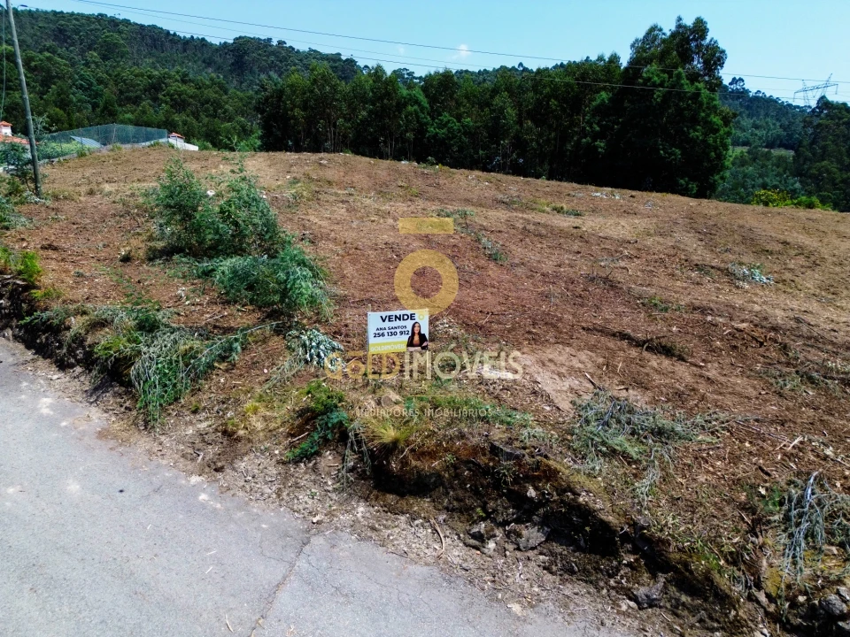 Terreno Agricola ou Rústico para Venda em Carregosa Foto 6