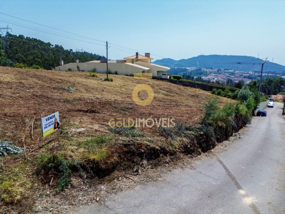 Terreno Agricola ou Rústico para Venda em Carregosa Foto 8