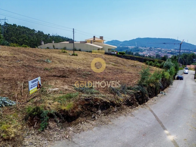 Terreno Agricola ou Rústico para Venda em Carregosa Foto 8