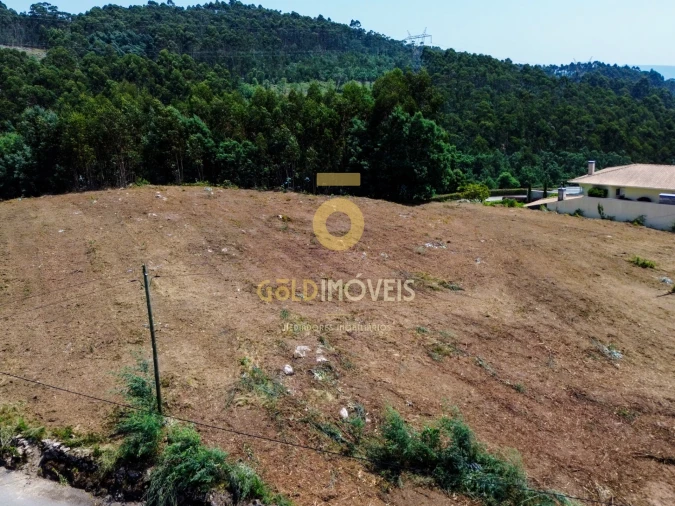 Terreno Agricola ou Rústico para Venda em Carregosa Foto 9