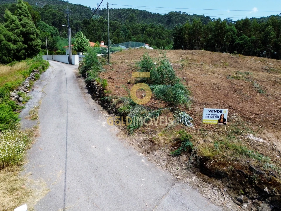 Terreno Agricola ou Rústico para Venda em Carregosa Foto 7