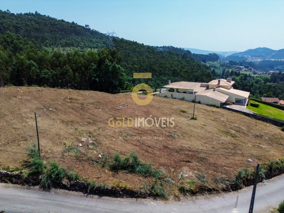 Terreno Agricola ou Rústico para Venda em Carregosa Foto 3