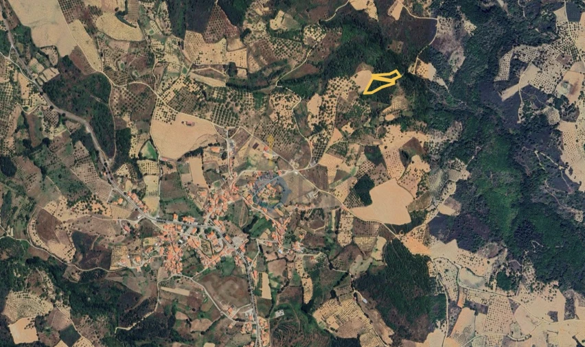 Terreno Agricola ou Rústico para Venda em Sambade Foto 2