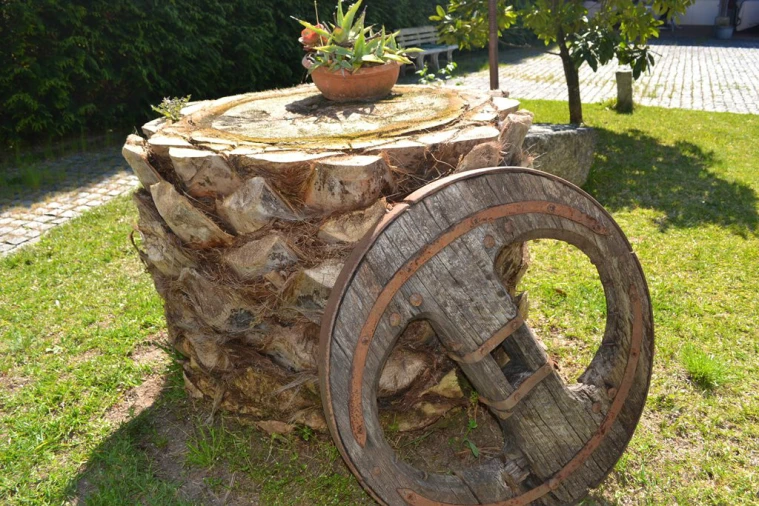 Quinta T6 para Venda em Fonte Arcada e Oliveira Foto 6