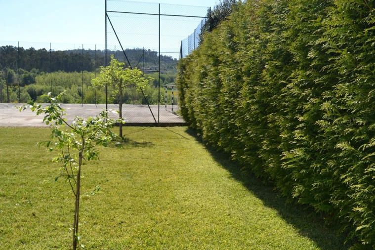 Quinta T6 para Venda em Fonte Arcada e Oliveira Foto 10