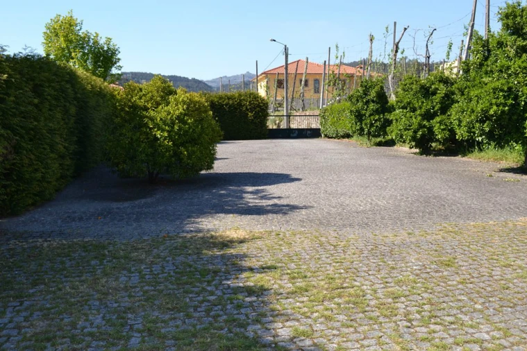 Quinta T6 para Venda em Fonte Arcada e Oliveira Foto 28