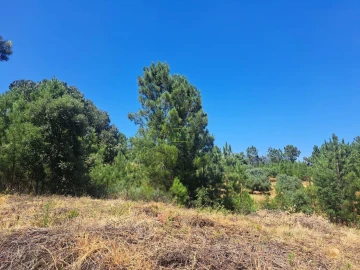 Terreno para Venda em Ninho do Açor e Sobral do Campo