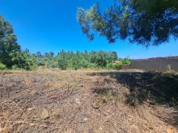 Terreno para Venda em Ninho do Açor e Sobral do Campo