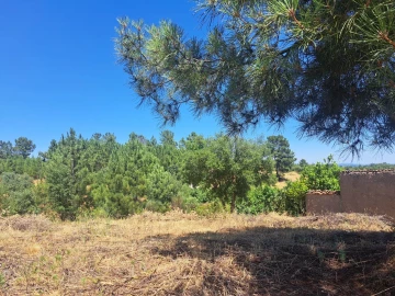 Terreno para Venda em Ninho do Açor e Sobral do Campo