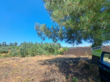 Terreno para Venda em Ninho do Açor e Sobral do Campo