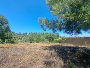 Terreno para Venda em Ninho do Açor e Sobral do Campo