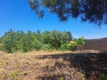 Terreno para Venda em Ninho do Açor e Sobral do Campo