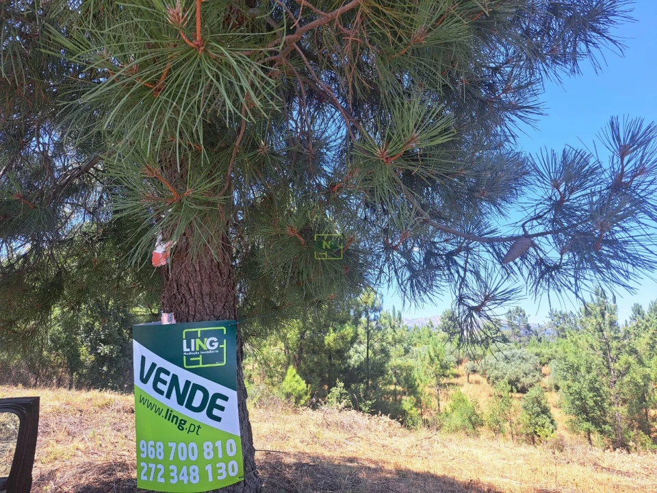 Terreno para Venda em Ninho do Açor e Sobral do Campo Foto 12