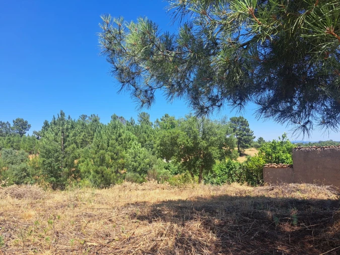 Terreno para Venda em Ninho do Açor e Sobral do Campo Foto 18