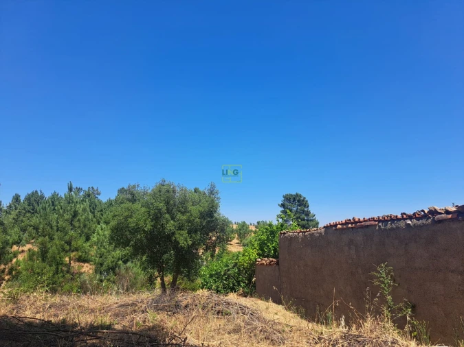Terreno para Venda em Ninho do Açor e Sobral do Campo Foto 5