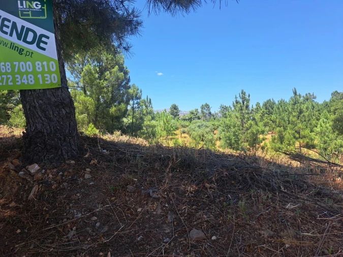 Terreno para Venda em Ninho do Açor e Sobral do Campo Foto 8