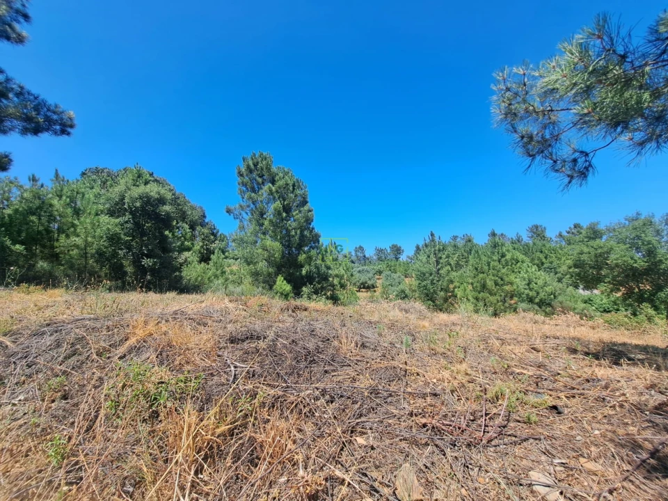 Terreno para Venda em Ninho do Açor e Sobral do Campo Foto 10