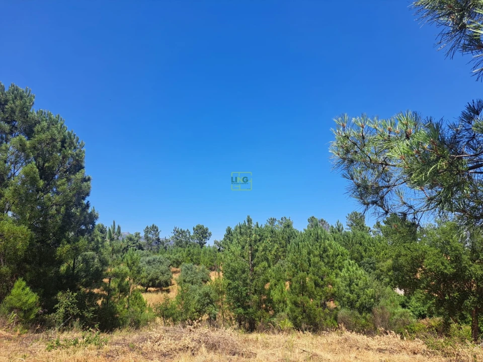 Terreno para Venda em Ninho do Açor e Sobral do Campo Foto 11