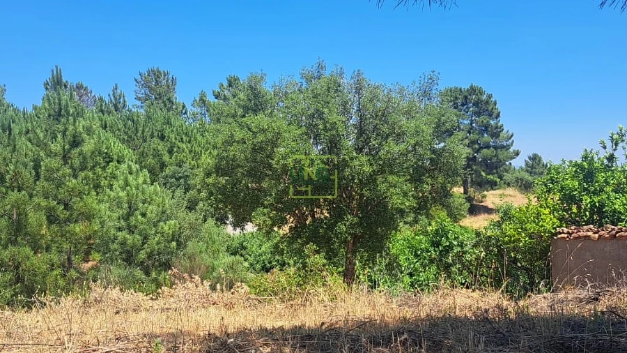 Terreno para Venda em Ninho do Açor e Sobral do Campo