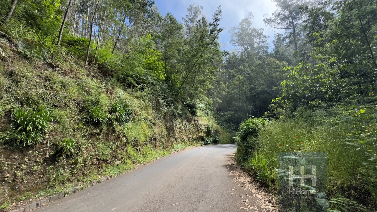 Terreno Agricola ou Rústico para Venda em São Gonçalo Foto 2