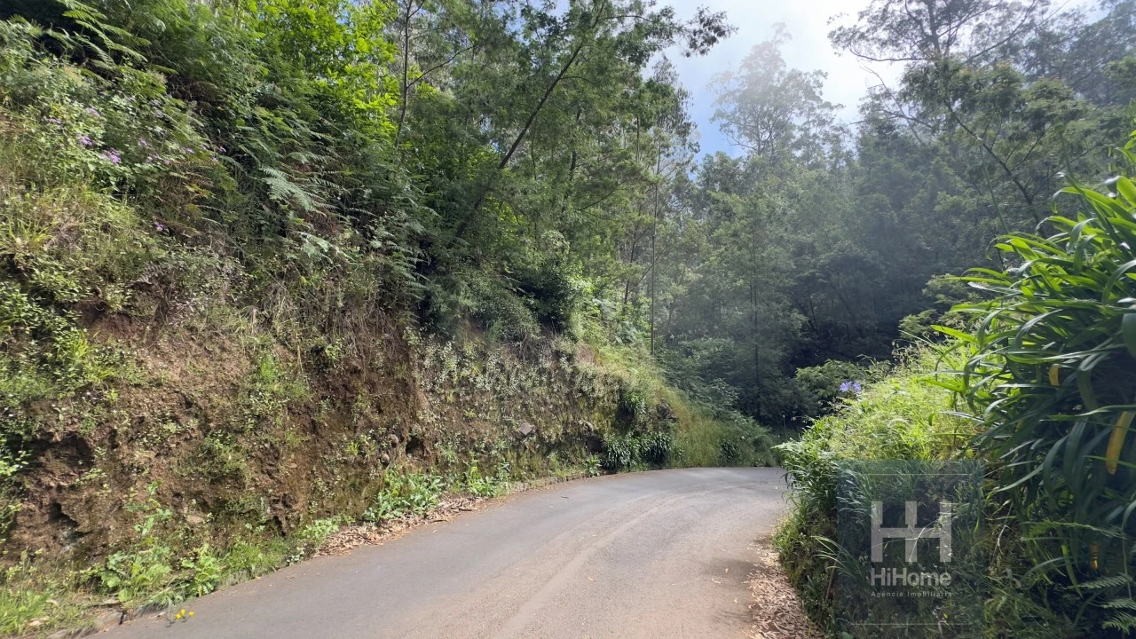 Terreno Agricola ou Rústico para Venda em São Gonçalo Foto 3