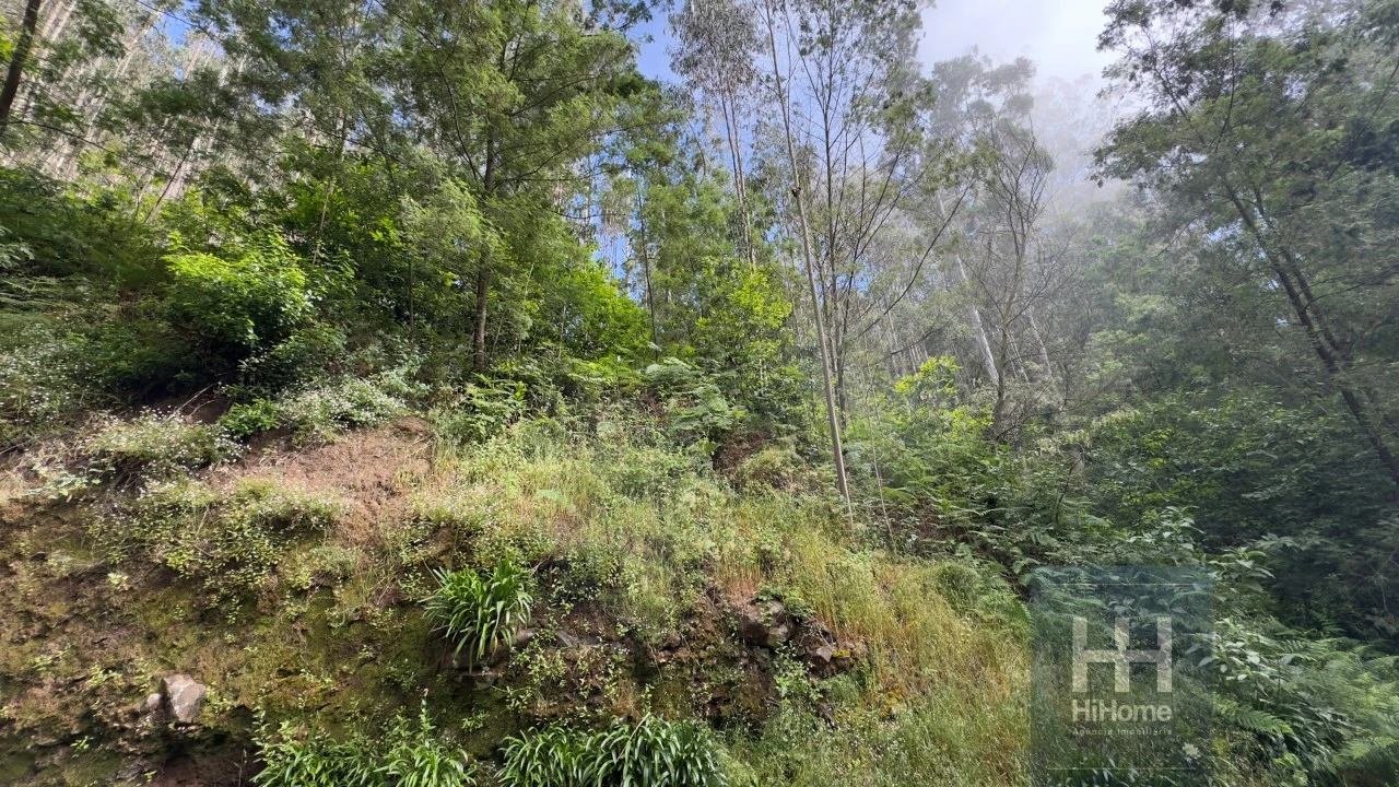 Terreno Agricola ou Rústico para Venda em São Gonçalo Foto 5