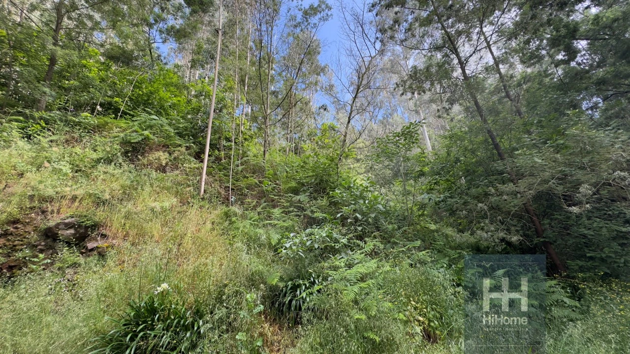 Terreno Agricola ou Rústico para Venda em São Gonçalo Foto 6