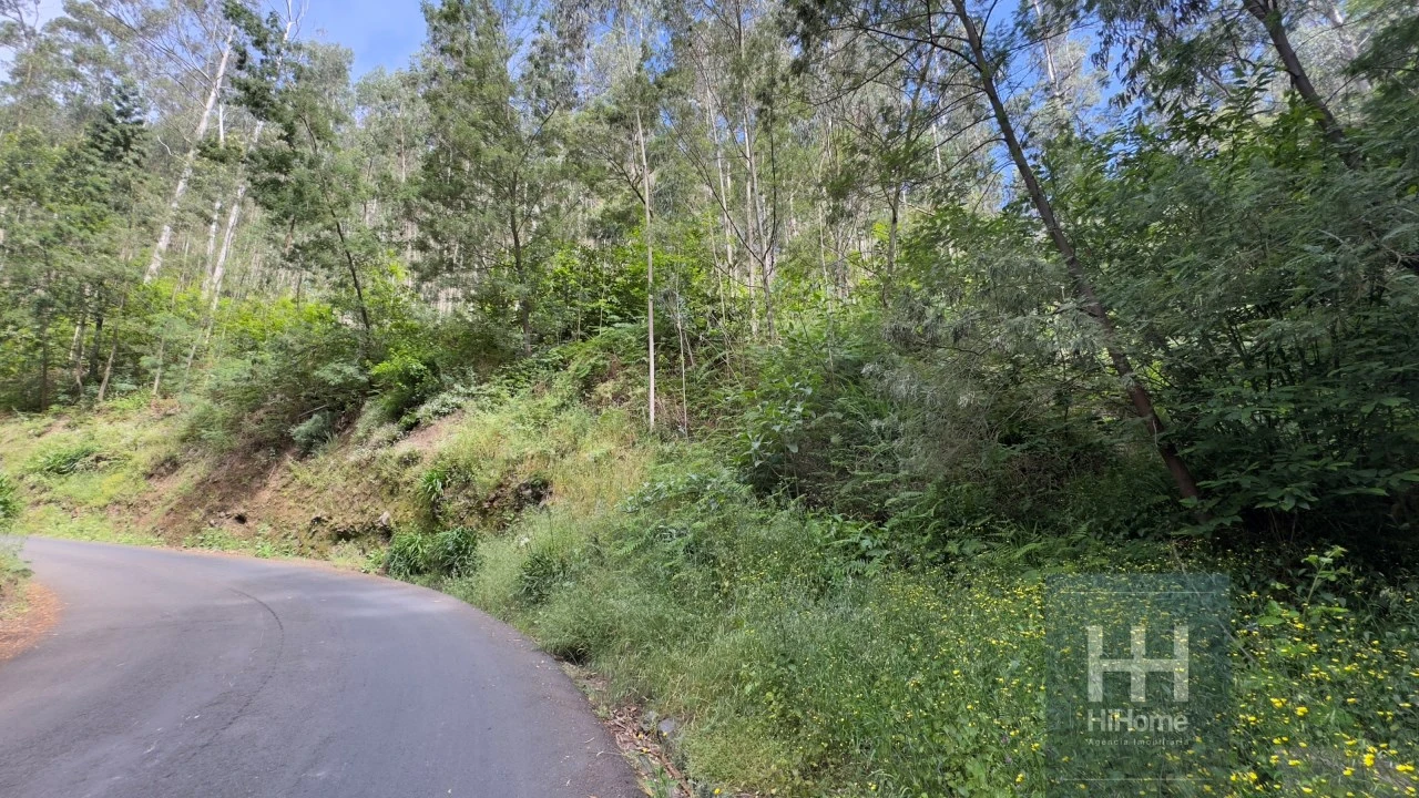 Terreno Agricola ou Rústico para Venda em São Gonçalo Foto 7