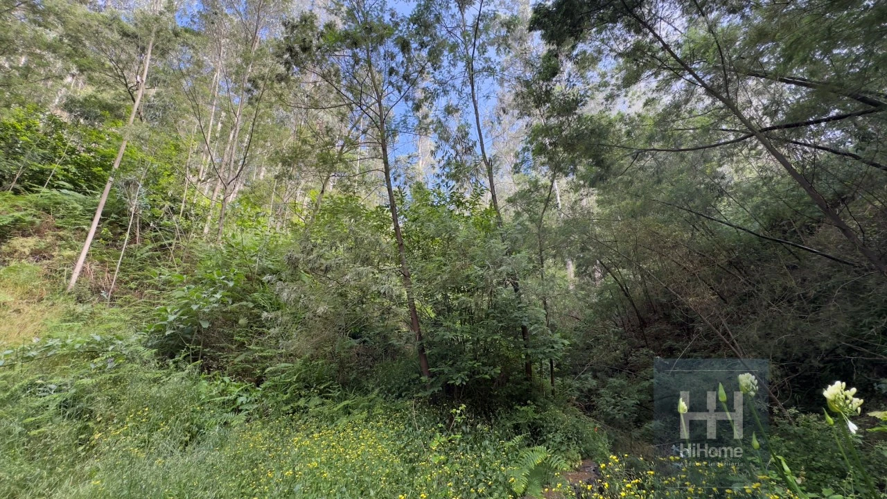 Terreno Agricola ou Rústico para Venda em São Gonçalo Foto 8